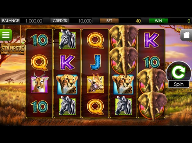 Stampede mobile slot game screenshot image