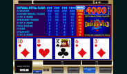 Deuces Wild - Power Video Poker game screenshot image