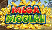 Microgaming Mega Moolah Slot Game