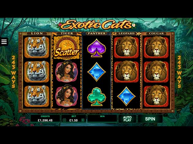  Exotic Cats mobile slot game screenshot image