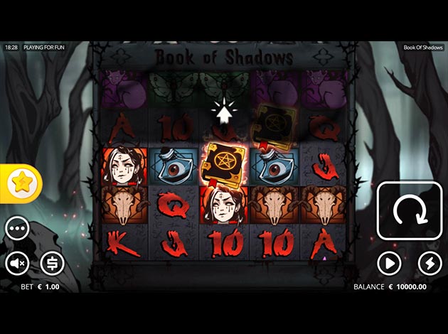 Book of Shadow Slot Game Screenshot Image