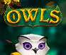 Owls mobile slot game thumbnail image