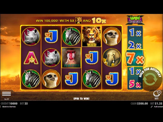  Hot Safari mobile slot game screenshot image