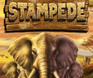 เกมสล็อต Stampede บนมือถือจาก Betsoft