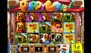 ตัวอย่างเกมสล็อต Puppy Love Plus