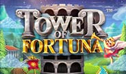 เกมสล็อต Tower of Fortuna จาก Betsoft