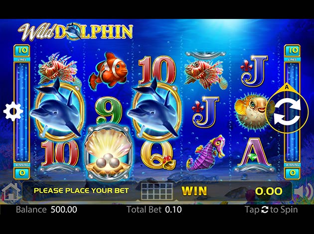 ตัวอย่างเกมสล็อต Wild Dolphin