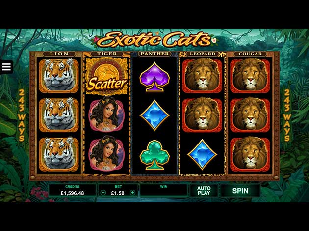 ตัวอย่างเกมสล็อต Exotic Cats