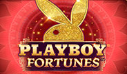 เกมสล็อต Playboy Fortunes จาก Microgaming