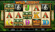 ตัวอย่างเกมสล็อต Wild Orient