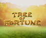 เกมสล็อต Tree Of Fortune จาก PG Soft