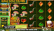 เกมสล็อต Wild Wild Riches