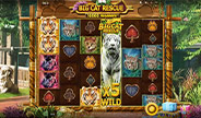 ตัวอย่างเกม Big Cat Rescue Megaways
