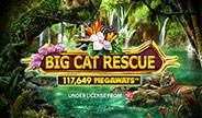 เกมสล็อต Big Cat Rescue Megaways จาก Red Tiger