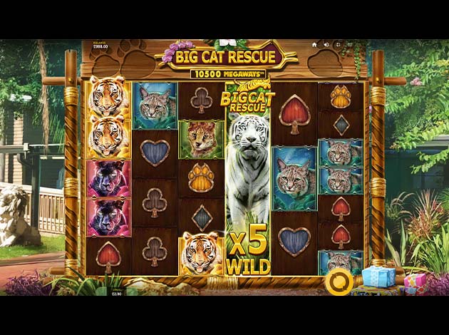 ตัวอย่างเกม Big Cat Rescue Megaways