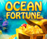 รูปพื้นหลังเกมสล็อต Ocean Fortune