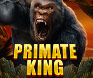 เกม Primate King บนมือถือ