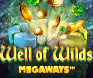 เกม Well of Wilds MegaWays บนมือถือ