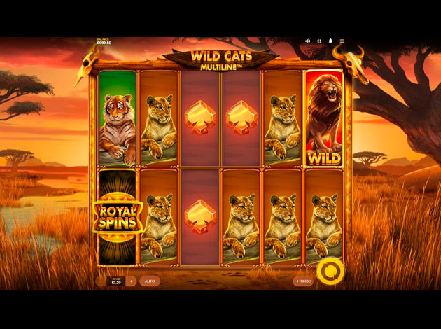 ตัวอย่างเกมสล็อต Wild Cats Multiline