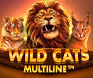 รูปพื้นหลังเกมสล็อต Wild Cats Multiline