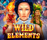 รูปพื้นหลังเกมสล็อต Wild Elements