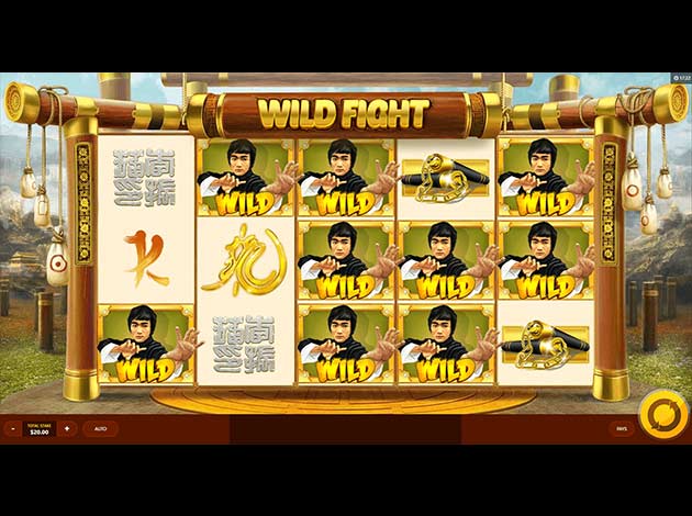 ตัวอย่างเกมสล็อต Wild Fight