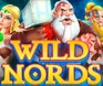 รูปพื้นหลังเกมสล็อต Wild Nords