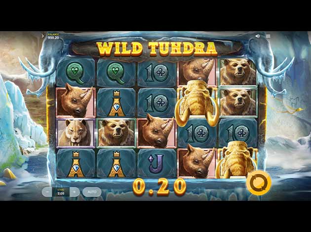 ตัวอย่างเกมสล็อต Wild Tundra บนมือถือ