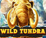 เกมสล็อต Wild Tundra