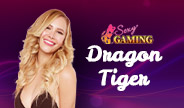 คาสิโนสด Dragon Tiger จาก Sexy Baccarat