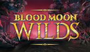 เกมสล็อต Blood Moon Wildsจาก Yggdrasil